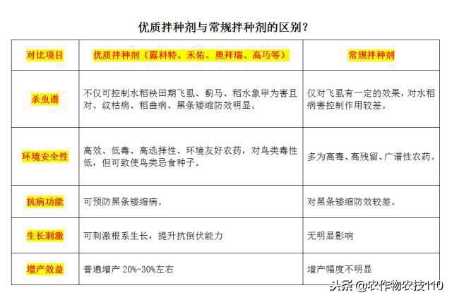 水稻育秧及苗床管理技术重点4