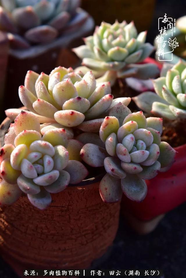 影片剧照
