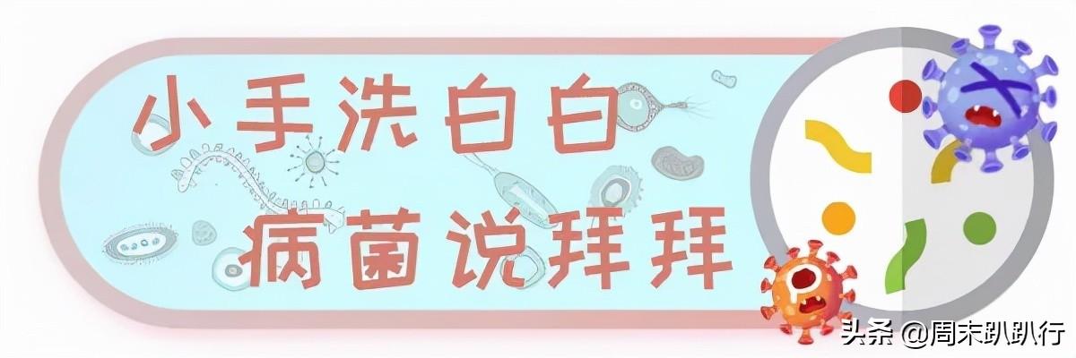 亲子打卡！科学探索，细菌好有趣啊，参观1000+件标本