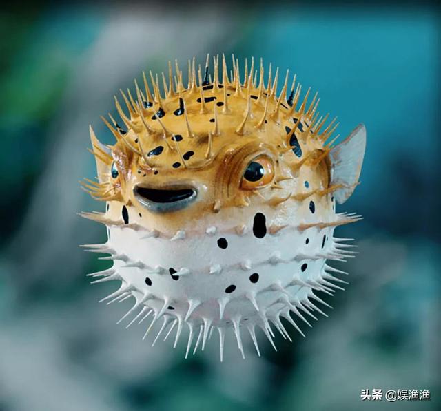 海里的鱼