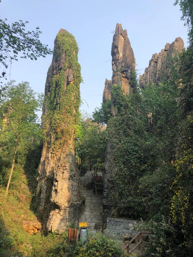 黑石林(老石林烟最贵)