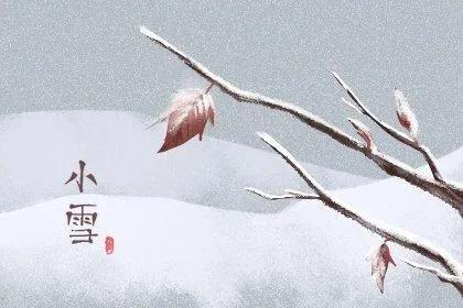 小雪这天吃什么？小雪当天吃什么食物，关键因素，看这篇文章