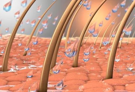 脸上长痘毛囊角化