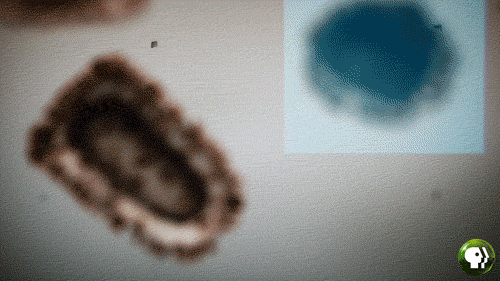 上班族带饭做对这4点：大大节省做饭时间，还能降低隔夜饭风险