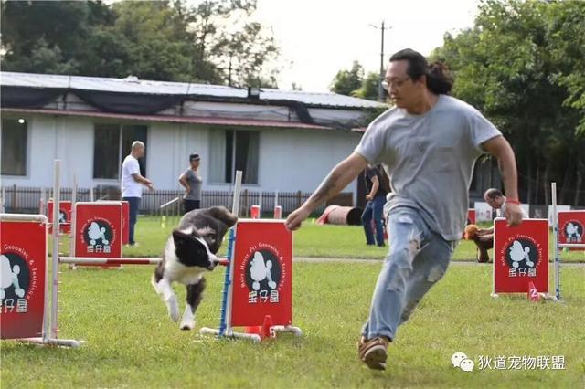 沈阳宠物美容学校