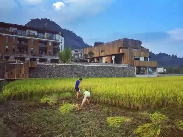 楚雄河石制砂机厂