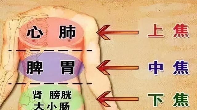 上热下寒的中药方子大总结，清上温下，有效调理，再也不怕用错药