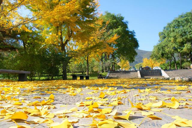 错过等一年！秋季滋阴补肾、润肺祛燥，食补养生正当时