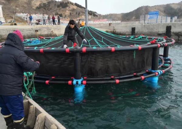 四川首富不再是刘永好，新首富身价1250亿，被称为中国饲料大王