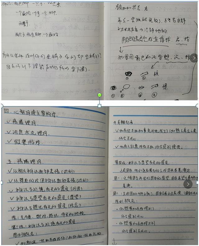 关于几年来的同伴介入回忆录（下）