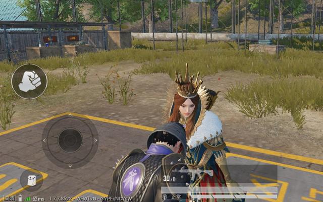 吃鸡皮肤华贵君王