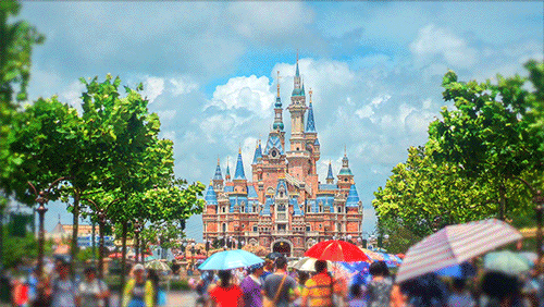 文和友的困兽之斗