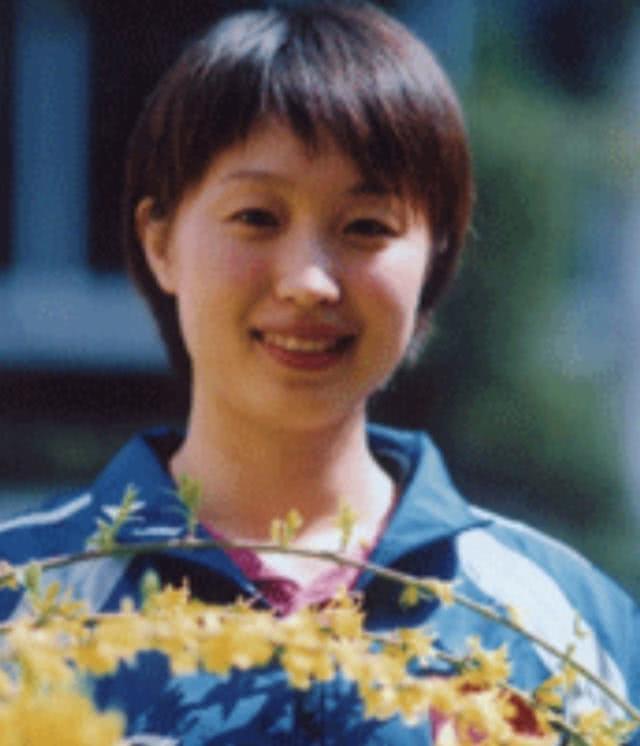 白杨的资料