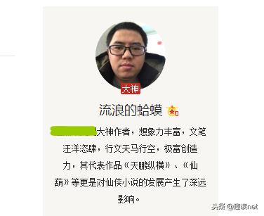 网游类小说作家「网游小说是什么」