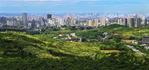 马鞍山规模比较大的电子商务「鞍山万达品牌分布图」