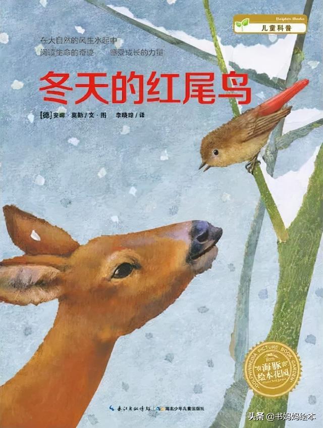 立冬 · 绘本特辑｜绘本里的故事温暖你前行