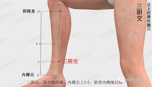 「三阴交」延缓衰老、紧致皮肤的美容要穴