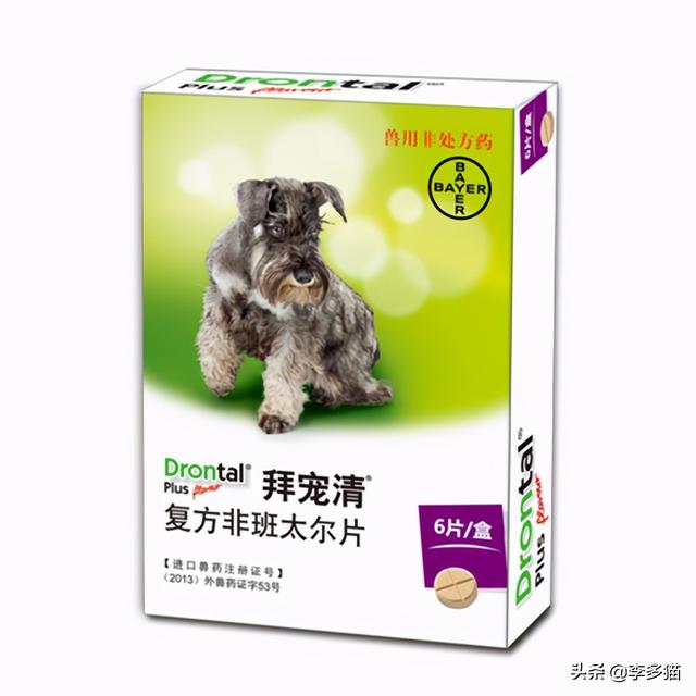 犬心保