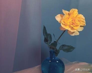 给自己的照片配一句话 给自己的照片配一句话（给自己的照片取名字） 生活