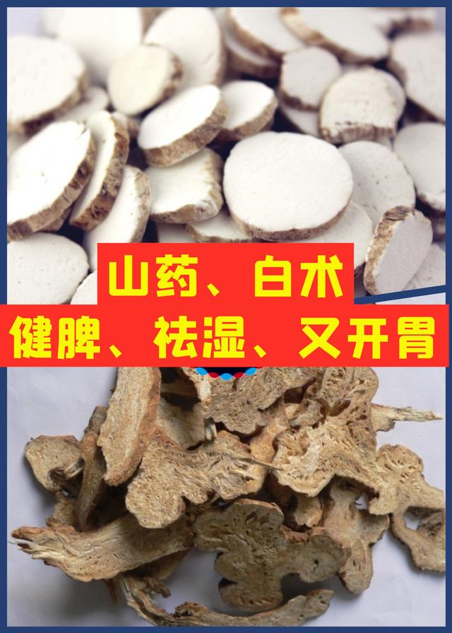 聊两味中药，健脾、祛湿、又开胃，有需要的人赶紧收藏