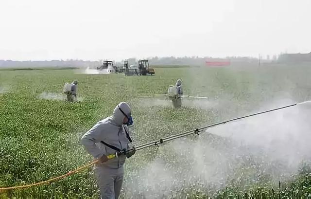 下雨天也能喷的农药？这次终于知道了