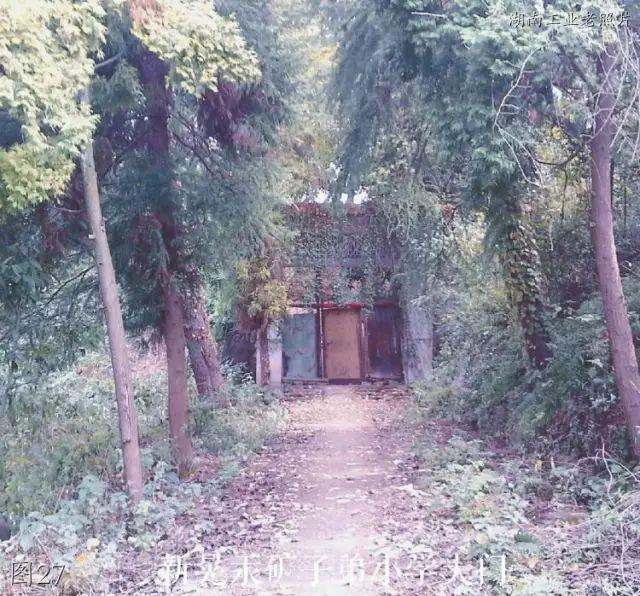 大同市小型洗砂机价格