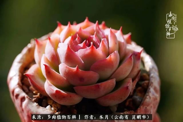 安康石英砂洗砂机厂家电话