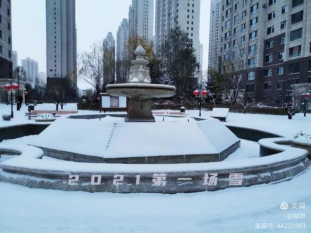 文章图片1