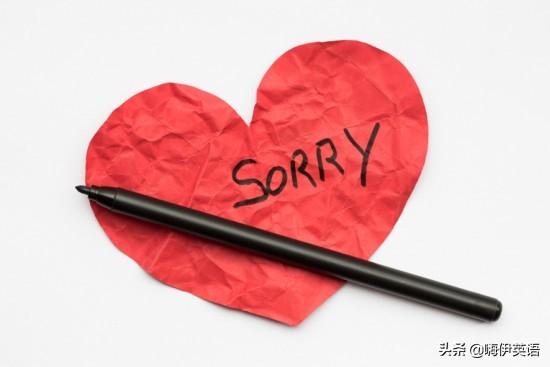 apologize是什么意思