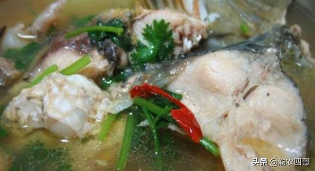 清炖鱼(清炖鱼做法) 美食 清炖鱼 清炖鱼(清炖鱼做法) 美食