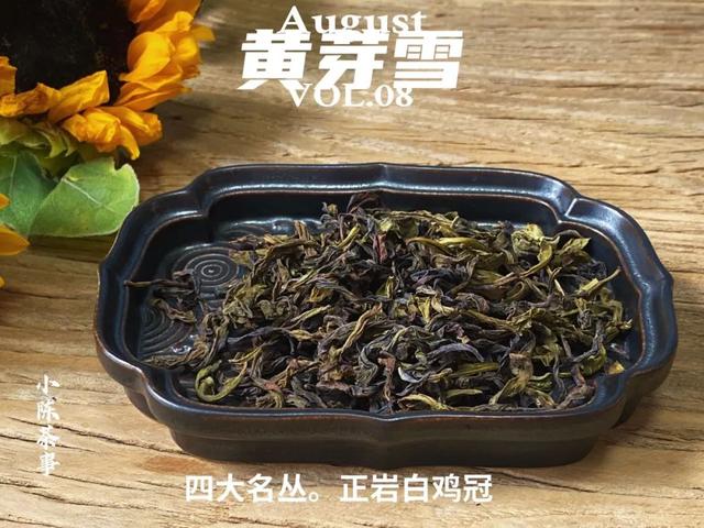 身体浸泡石乳金丹无数