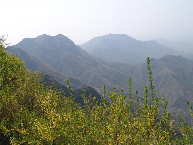 滨州石英砂洗砂机哪家好