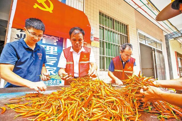 汕尾洗砂脱水一体机