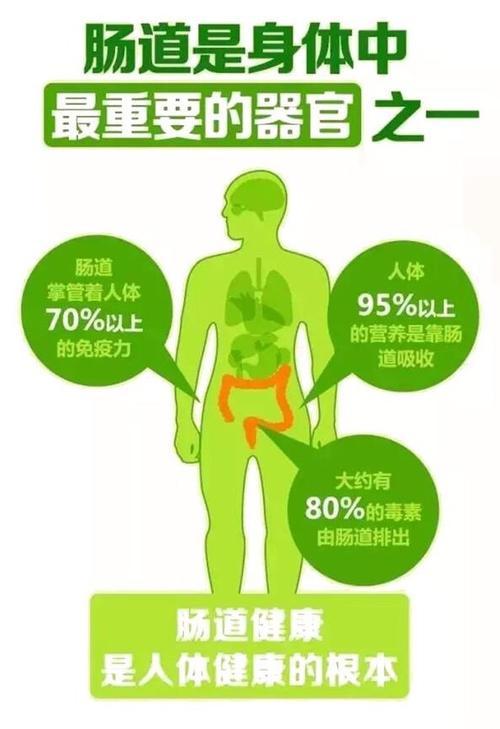 人体所需的健康要素