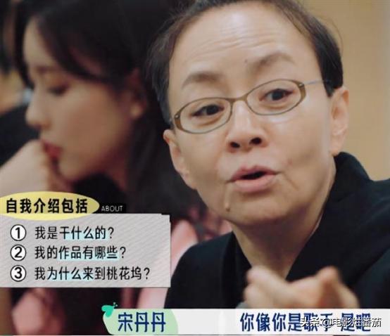 张翰郑爽演的电视剧:宋丹丹当面怼张翰，陈道明向“媚俗”开炮，娱乐圈审美畸形谁之过