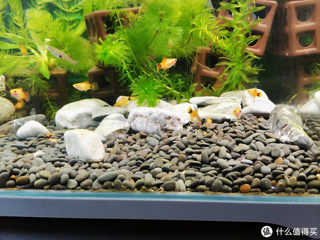 大蜗牛制砂机