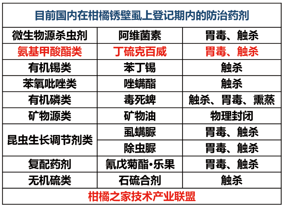 红蜘蛛的亲戚——锈壁虱要来了！现在就开始防，还来得及！7