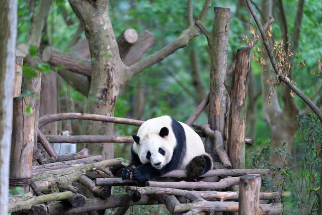 国家级风景名胜区名单