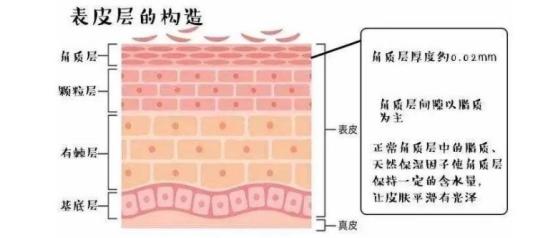 羡慕明星怀孕护肤品化妆品一样不落？孕期放心护肤，养成白嫩皮