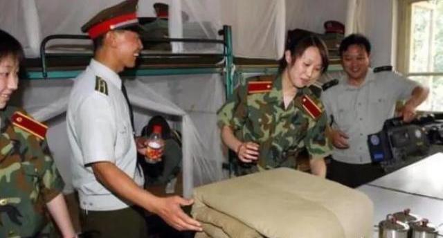 白杨的资料