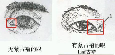我们引以为傲的“黄种人”，在外国人眼里，为什么是一种“歧视”
