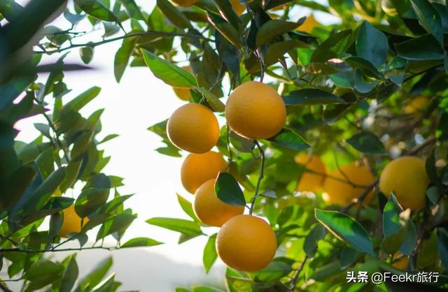 大理鹅卵石制砂机品牌推荐