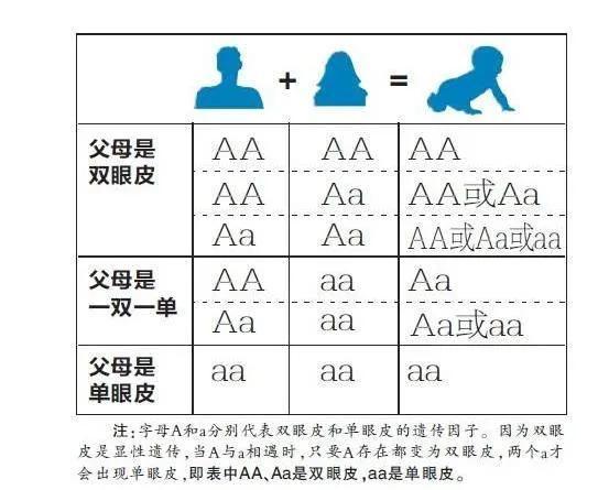 “希望眼睛能像爸爸的多眼皮，生完一看，完蛋，内双肿眼泡儿。”