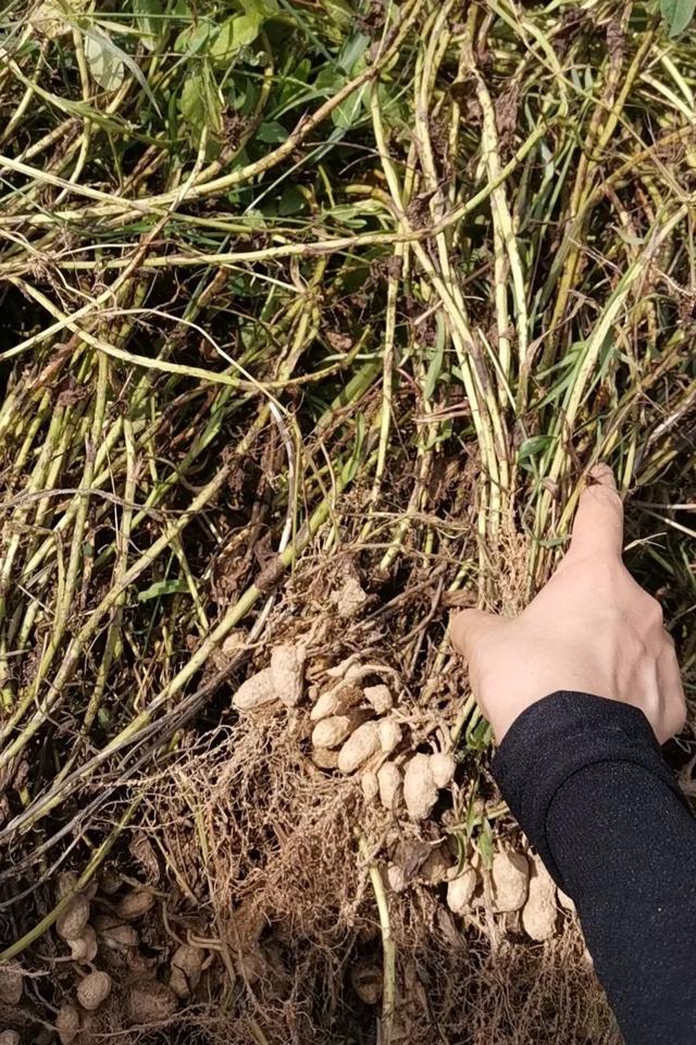 影片剧照