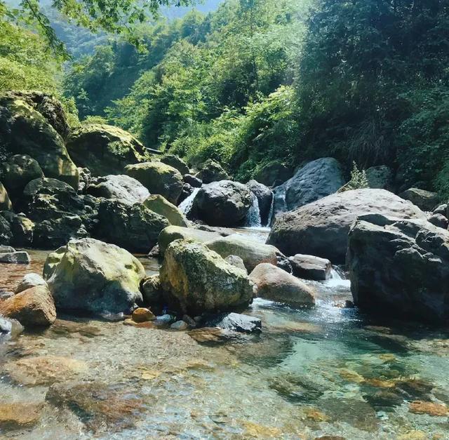 乐山石子洗砂机厂家
