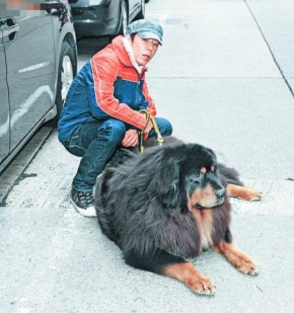 黄贯中的老婆是谁:嫂子大起底！张淇欧阳靖低调已婚？赵文卓黄贯中将宠妻进行到底