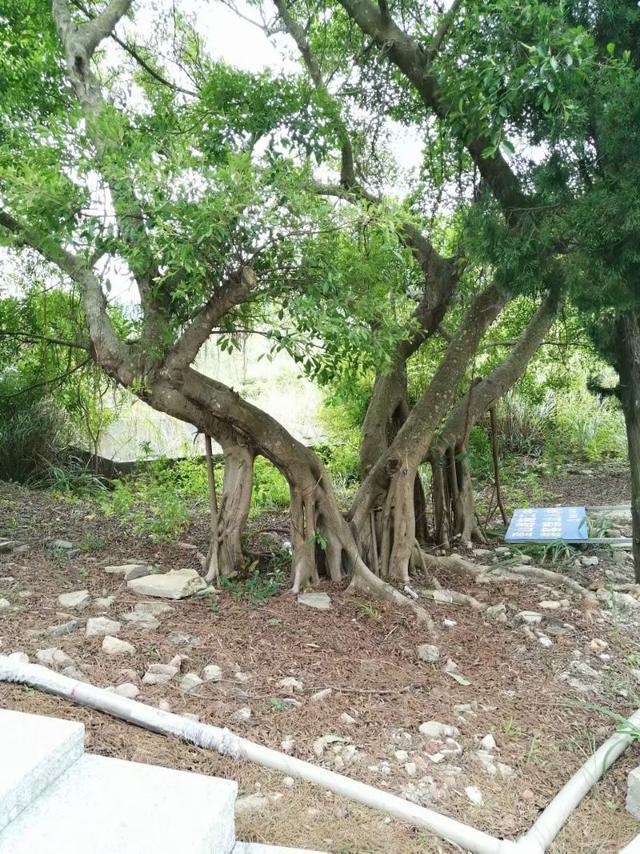 清泉古寺