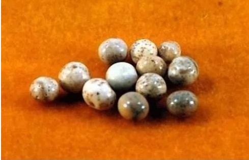 南怀瑾舍利子南怀瑾舍利子骗局