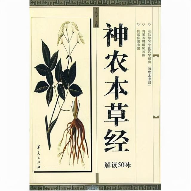 远古以来十大医家你会选谁？