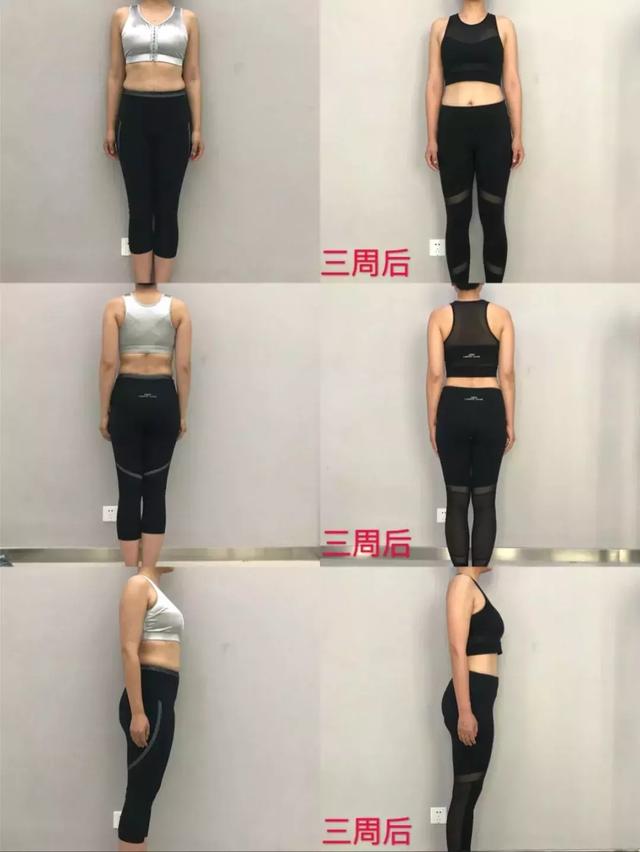 环境工程学蒋展鹏目录